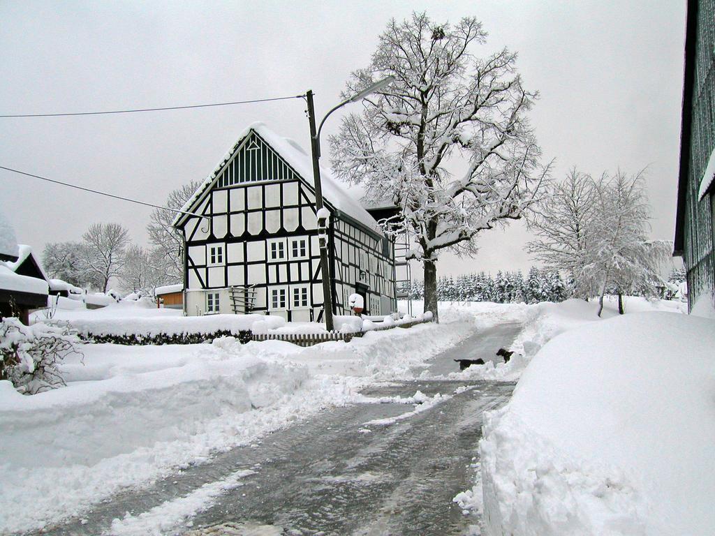 Ortmanns Eulennest Villa Finnentrop ภายนอก รูปภาพ