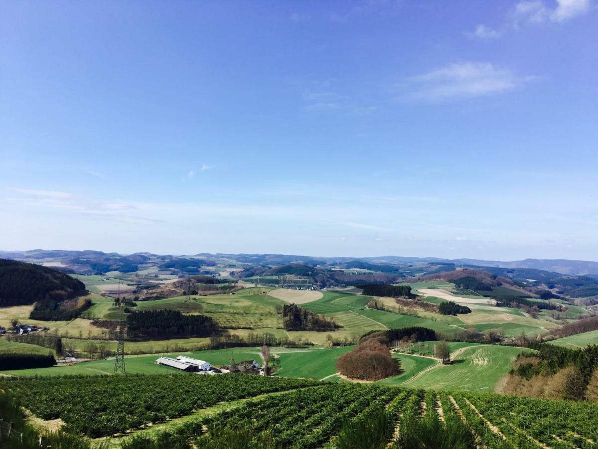 Ortmanns Eulennest Villa Finnentrop ภายนอก รูปภาพ